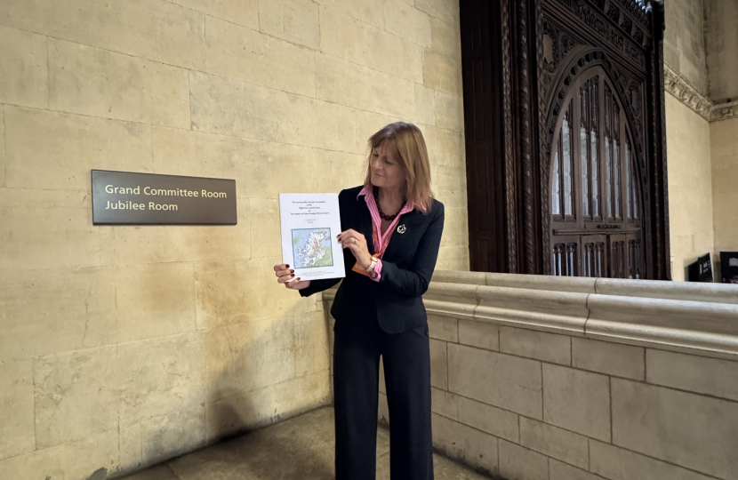 Councillor Crawford with her Highlands Energy Convention Motion in  Westminster Hall